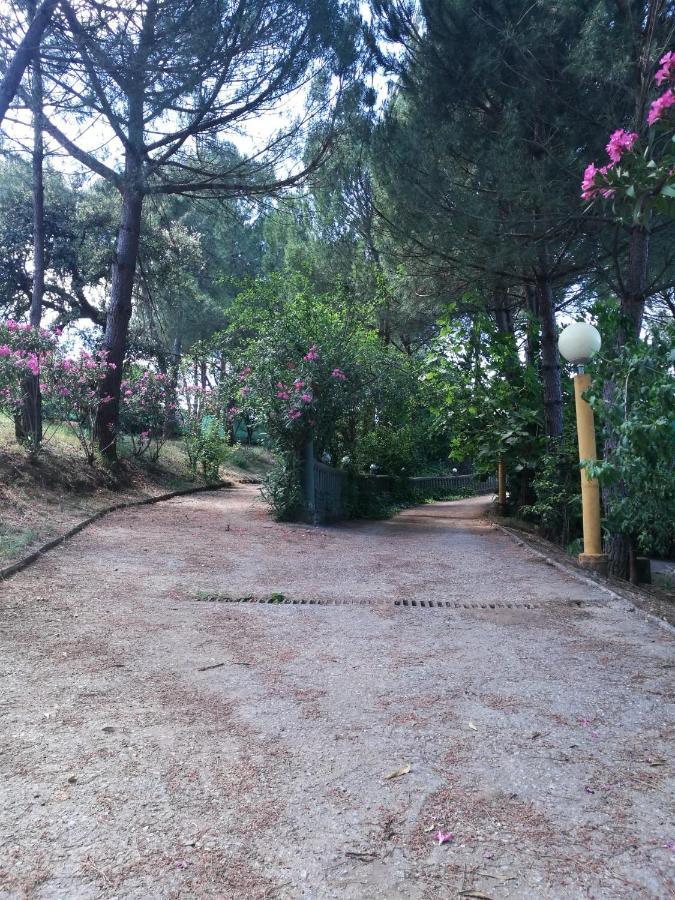 Finca Rural Labriega Del Hueznar 查兹拉德拉谢拉 外观 照片
