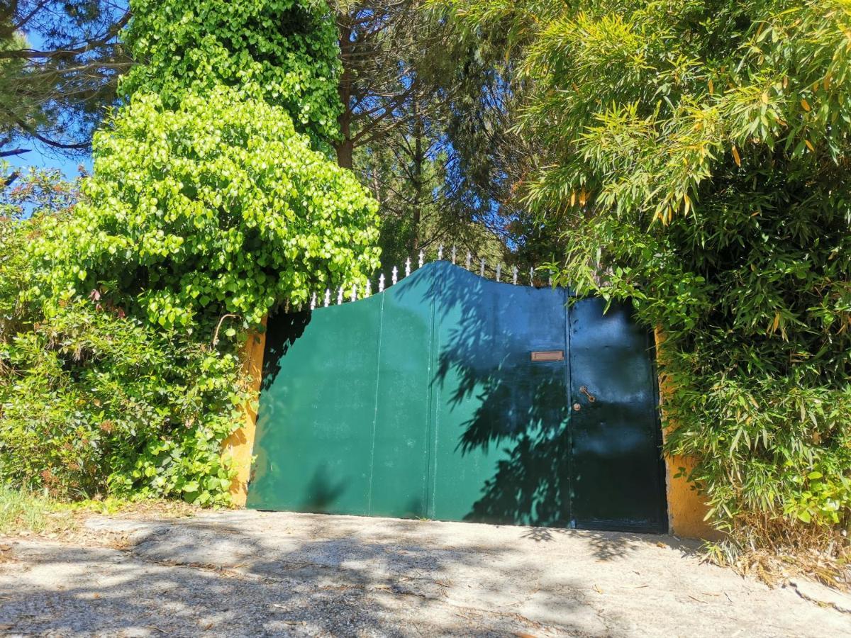 Finca Rural Labriega Del Hueznar 查兹拉德拉谢拉 外观 照片