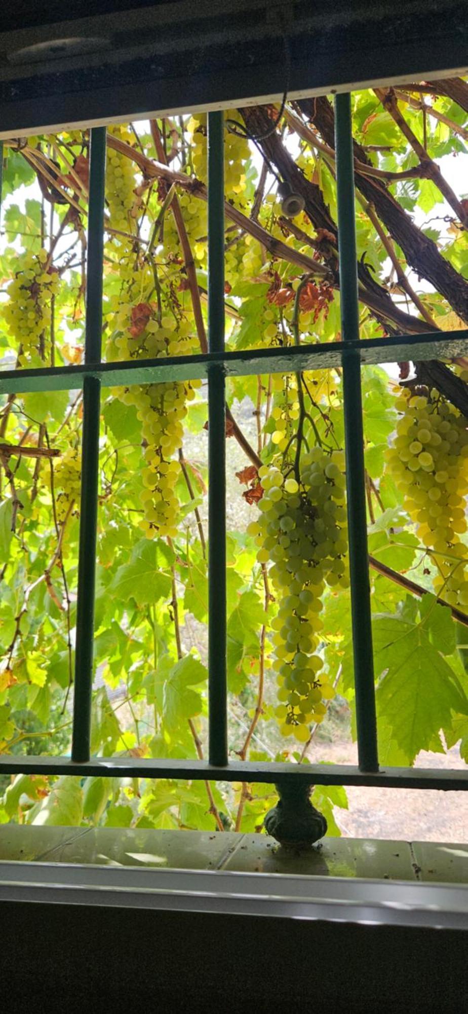 Finca Rural Labriega Del Hueznar 查兹拉德拉谢拉 外观 照片
